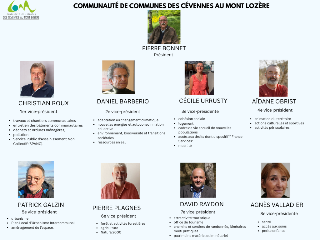 Organigramme des vice prsidents 